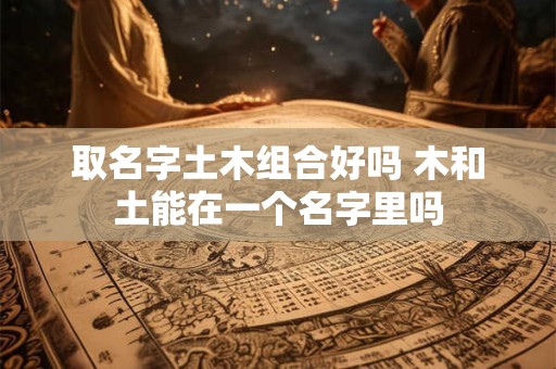 取名字土木组合好吗 木和土能在一个名字里吗
