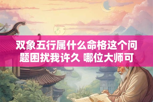 双象五行属什么命格这个问题困扰我许久 哪位大师可以为我答疑解惑