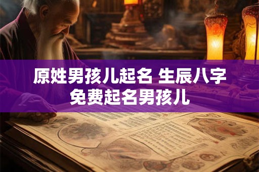 原姓男孩儿起名 生辰八字免费起名男孩儿