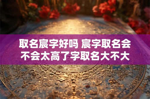 取名宸字好吗 宸字取名会不会太高了字取名大不大