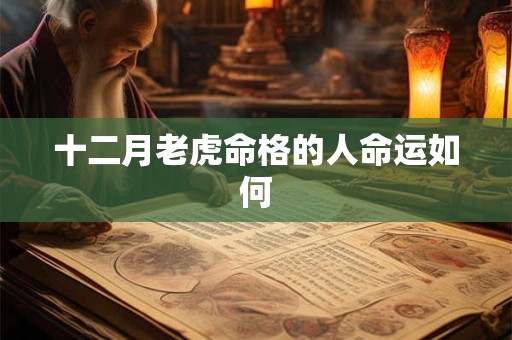 十二月老虎命格的人命运如何