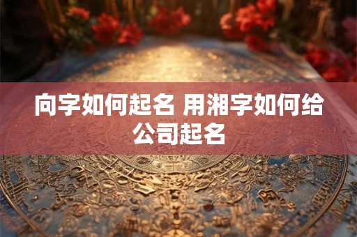 向字如何起名 用湘字如何给公司起名