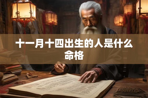 十一月十四出生的人是什么命格