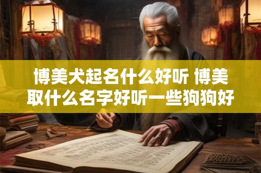 博美犬起名什么好听 博美取什么名字好听一些狗狗好记