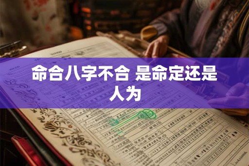 命合八字不合 是命定还是人为