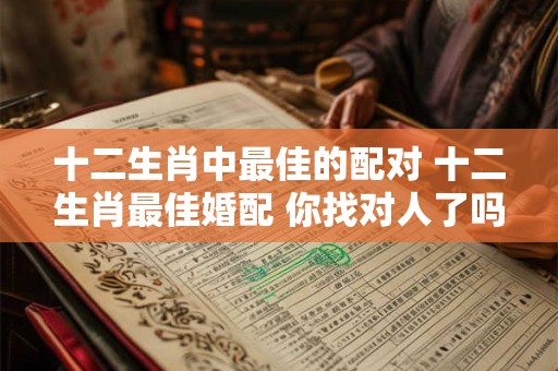 十二生肖中最佳的配对 十二生肖最佳婚配 你找对人了吗仅供参考哦