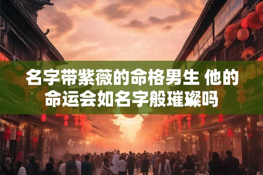 名字带紫薇的命格男生 他的命运会如名字般璀璨吗