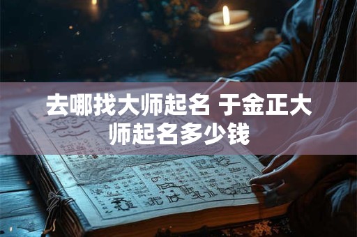 去哪找大师起名 于金正大师起名多少钱