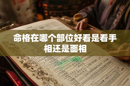 命格在哪个部位好看是看手相还是面相
