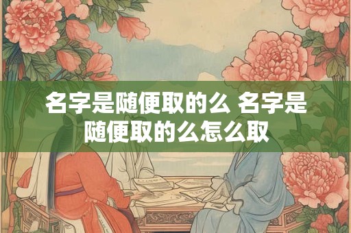 名字是随便取的么 名字是随便取的么怎么取