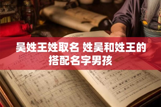 吴姓王姓取名 姓吴和姓王的搭配名字男孩