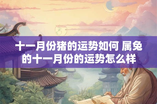 十一月份猪的运势如何 属兔的十一月份的运势怎么样