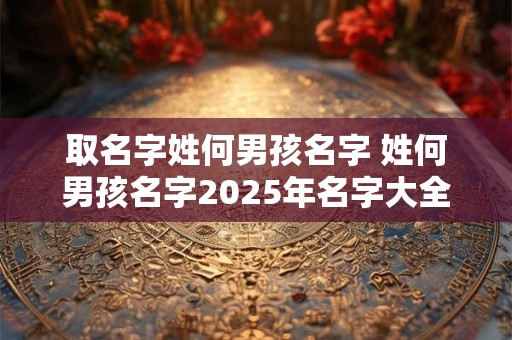 取名字姓何男孩名字 姓何男孩名字2025年名字大全