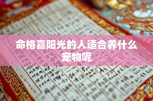 命格喜阳光的人适合养什么宠物呢 命格喜阳光的人适合养什么宠物呢