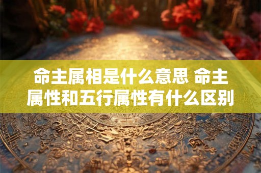 命主属相是什么意思 命主属性和五行属性有什么区别