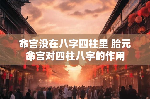 命宫没在八字四柱里 胎元命宫对四柱八字的作用
