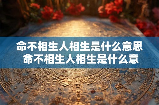 命不相生人相生是什么意思 命不相生人相生是什么意思呀