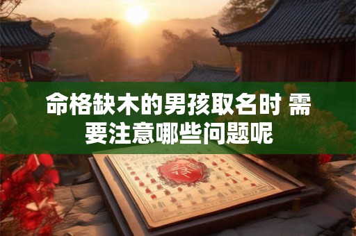 命格缺木的男孩取名时 需要注意哪些问题呢