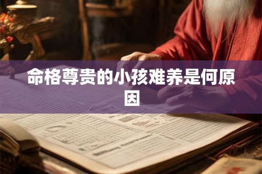 命格尊贵的小孩难养是何原因