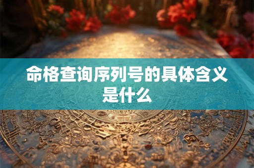 命格查询序列号的具体含义是什么