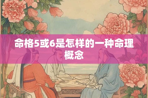 命格5或6是怎样的一种命理概念