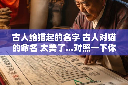 古人给猫起的名字 古人对猫的命名 太美了...对照一下你的猫叫什么...