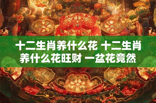 十二生肖养什么花 十二生肖养什么花旺财 一盆花竟然可以改变财运风水