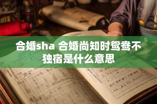 合婚sha 合婚尚知时鸳鸯不独宿是什么意思