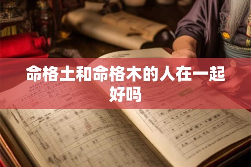 命格土和命格木的人在一起好吗 命格土和命格木的人在一起好吗