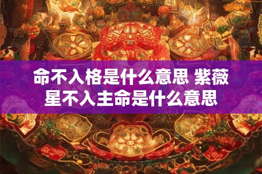 命不入格是什么意思 紫薇星不入主命是什么意思