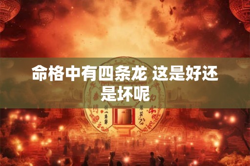 命格中有四条龙 这是好还是坏呢