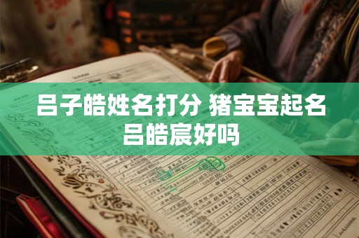 吕子皓姓名打分 猪宝宝起名吕皓宸好吗