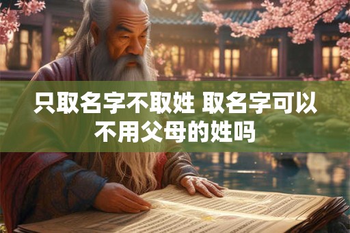 只取名字不取姓 取名字可以不用父母的姓吗