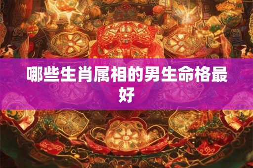 哪些生肖属相的男生命格最好