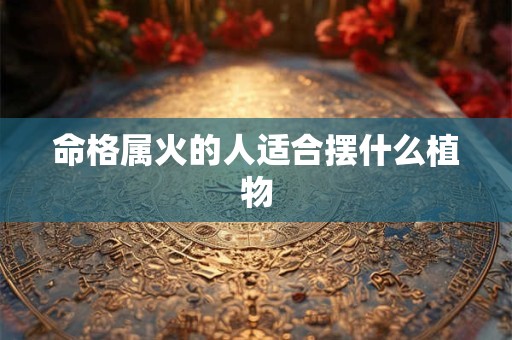 命格属火的人适合摆什么植物 命格属火的人适合摆什么植物