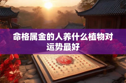 命格属金的人养什么植物对运势最好 命格属金的人养什么植物对运势最好