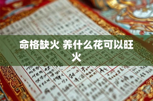 命格缺火 养什么花可以旺火