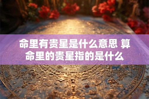 命里有贵星是什么意思 算命里的贵星指的是什么