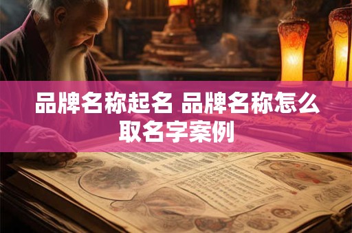 品牌名称起名 品牌名称怎么取名字案例