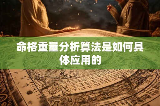 命格重量分析算法是如何具体应用的
