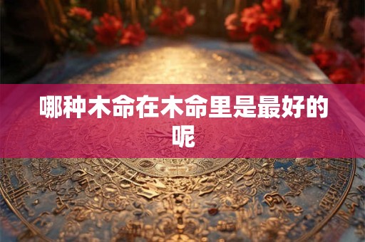 哪种木命在木命里是最好的呢