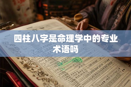 四柱八字是命理学中的专业术语吗