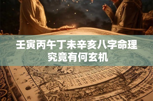 壬寅丙午丁未辛亥八字命理 究竟有何玄机