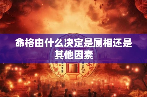 命格由什么决定是属相还是其他因素
