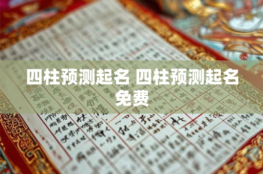 四柱预测起名 四柱预测起名免费