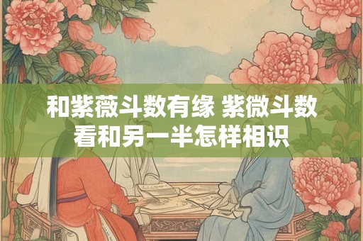 和紫薇斗数有缘 紫微斗数看和另一半怎样相识