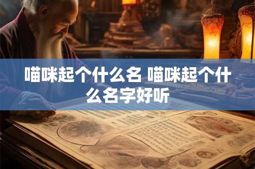 喵咪起个什么名 喵咪起个什么名字好听 喵咪起个什么名 喵咪起个什么名字好听