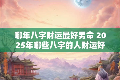 哪年八字财运最好男命 2025年哪些八字的人财运好