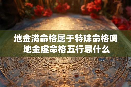 地金满命格属于特殊命格吗 地金虚命格五行忌什么