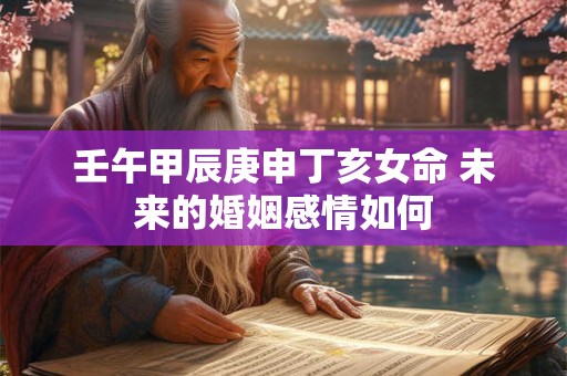 壬午甲辰庚申丁亥女命 未来的婚姻感情如何